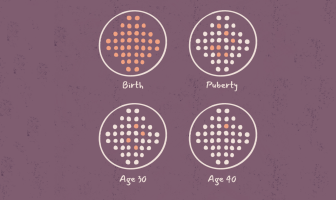 Ovarian aging : understanding the impact on fertility