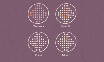 Vieillissement ovarien : comprendre l’impact sur la fertilité féminine